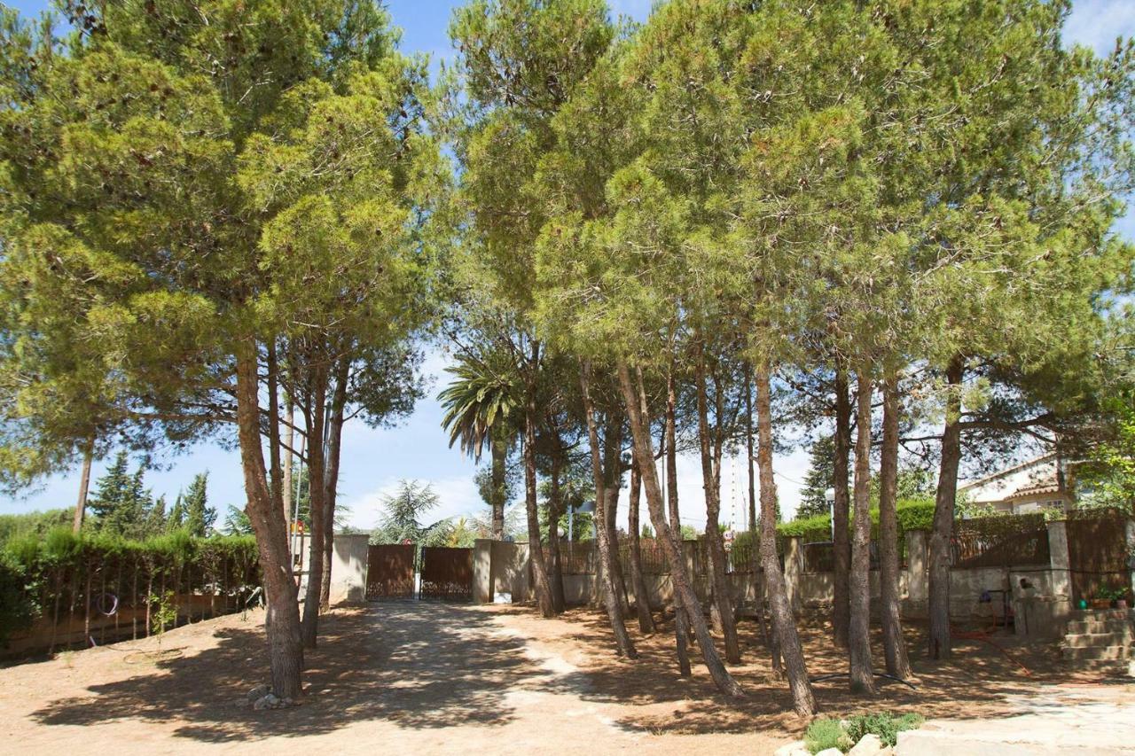 Alcover Menta House Preciosa Eco-Casa Con Gran Jardin Y Barbacoa 빌라 외부 사진